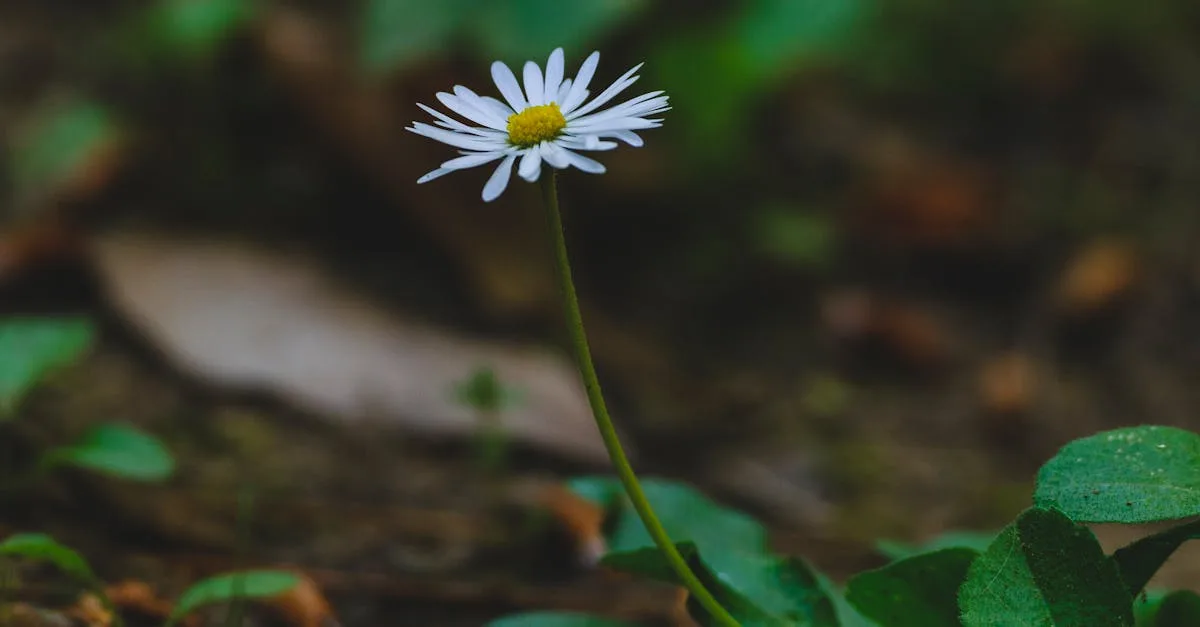 Emergency Plumbing in Peyton, CO by Emergency Plumbing Fix